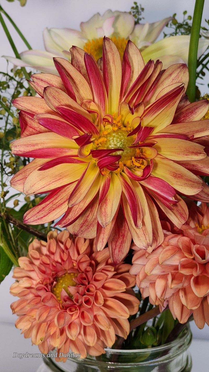 Peach and red dahlia bouquet in jar